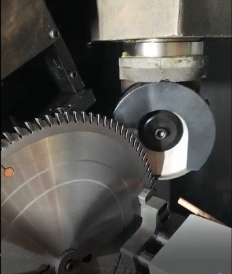 High Accuracy TCT Torsel Automatic Blade Grinding Machine