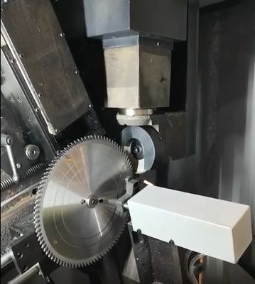 Torsel Full Automatic Circular Saw Blade Sharpening Equipment